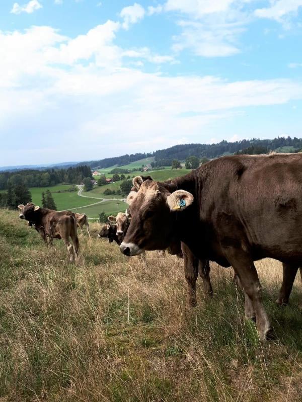 Ferienhaus Rasch Maierhöfen Kültér fotó