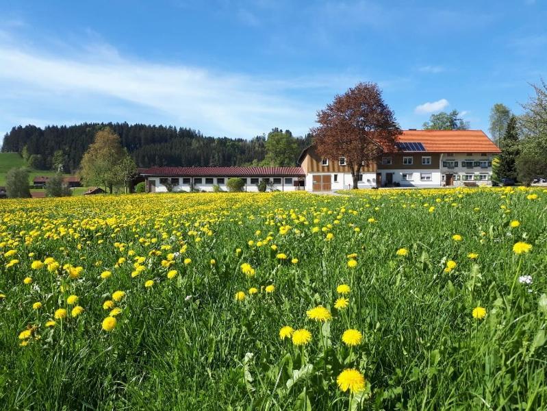 Ferienhaus Rasch Maierhöfen Kültér fotó