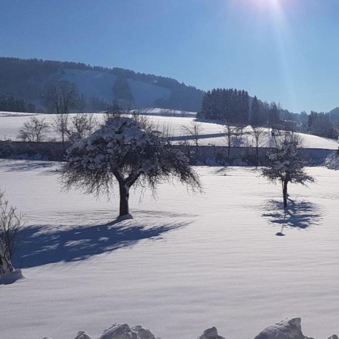 Ferienhaus Rasch Maierhöfen Kültér fotó